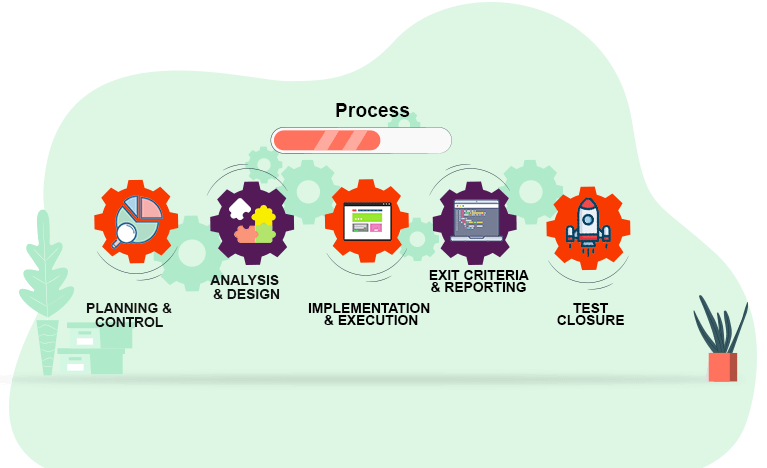 VE Tester Step Process