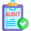 Audit Icon