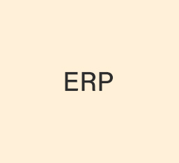 ERP Logo