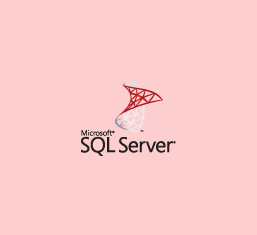 Microsoft SQL Server Logo