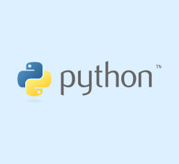 Python Development Icon