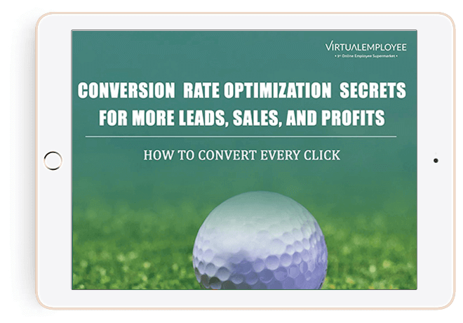 cro-secrets-for-more-leads-sales-profits