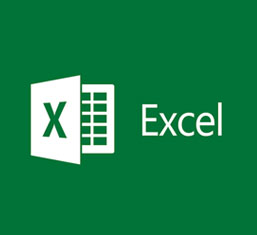 MS Excel Icon