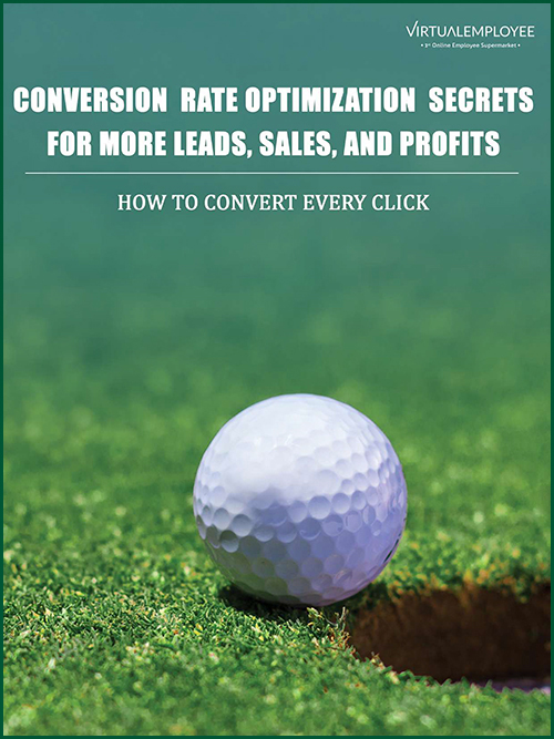 Conversion Rate Optimization Secrets for More Leads, Sales, And Profits